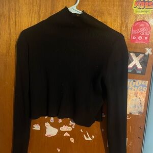 Ribbed turtle neck